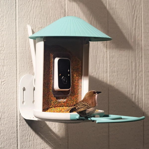 Birdfy