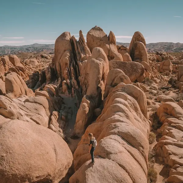 My Unwavering Love for Joshua Tree: An Intimate Narrative & Guide for Joshua Tree, California