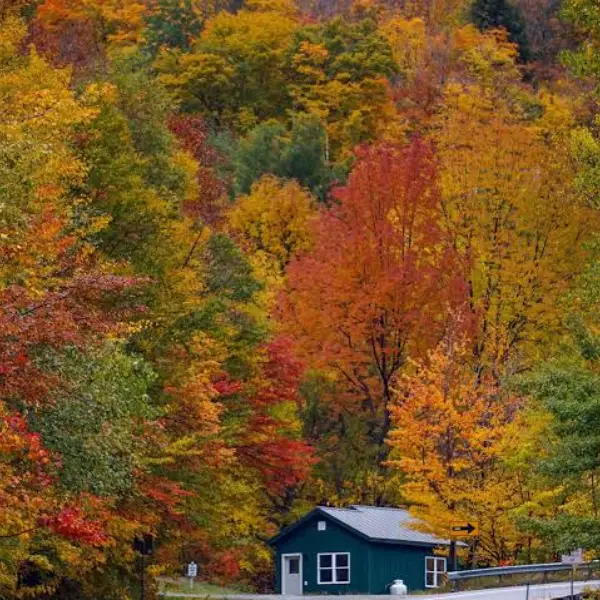 9 Destinations for Stunning Fall Leaves in the US
