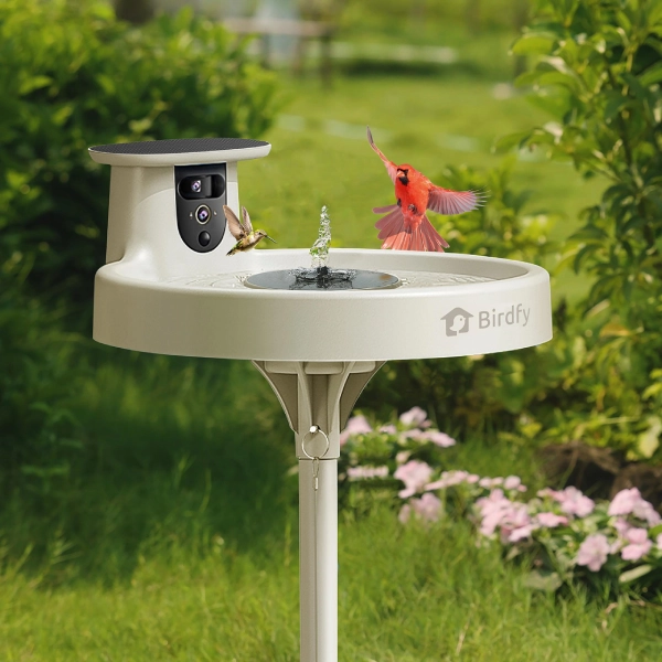Birdfy