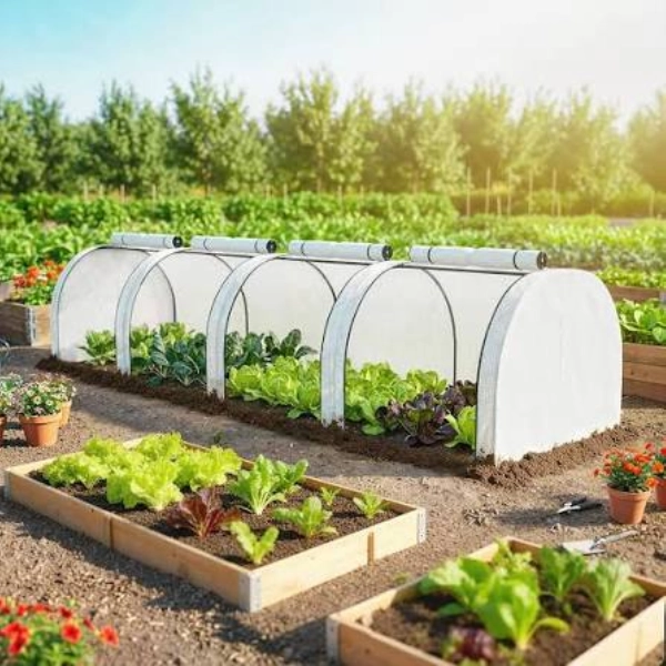 Quictent Greenhouse Replacement Cover