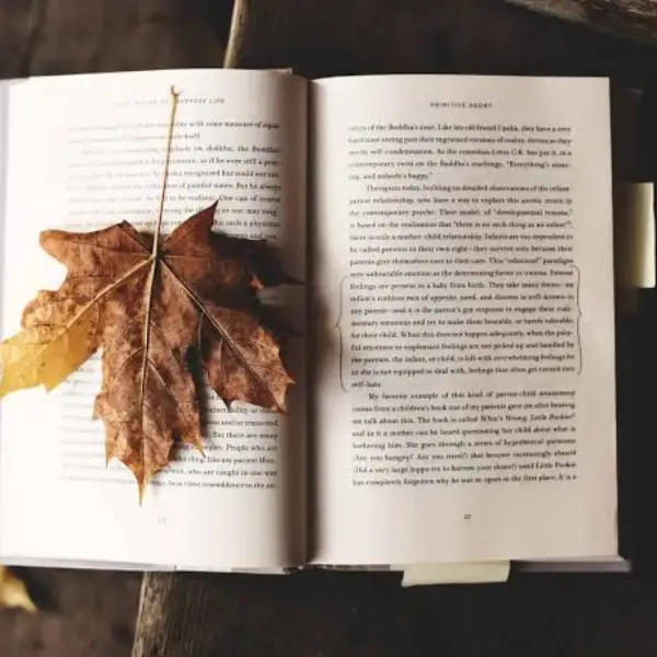 Fall Reading Guide: 8 Books Perfect To Cozy Up With
