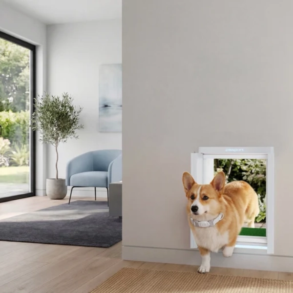 Does Pawport Fit My Existing Dog Door?