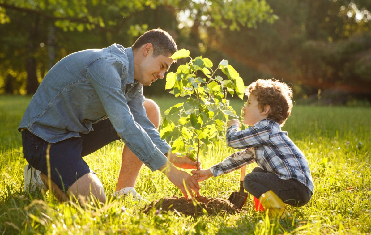 Why Different Trees Need Different Caring?
