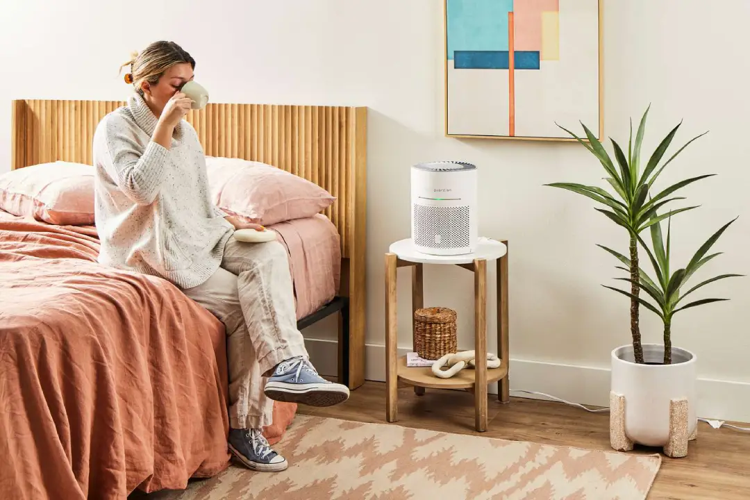 10 Best Air Purifiers For Mold: Top Choices for a Healthier Home Environment