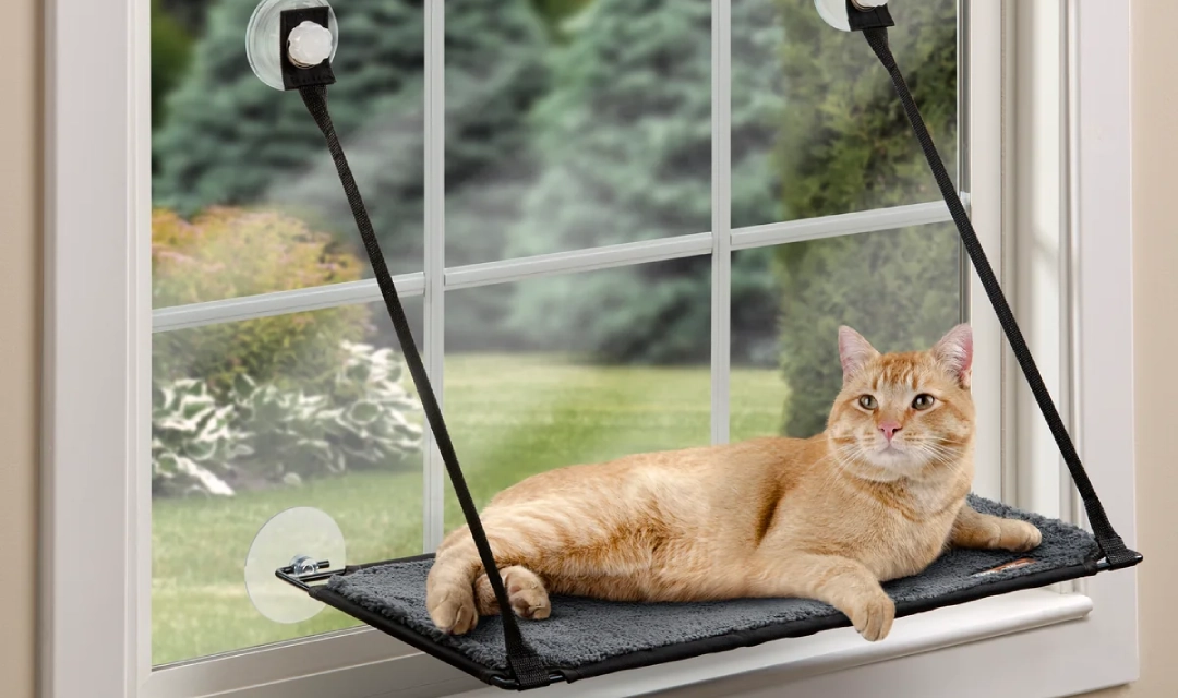 K&H Pet Products Review